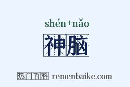 神脑是什么意思的图片